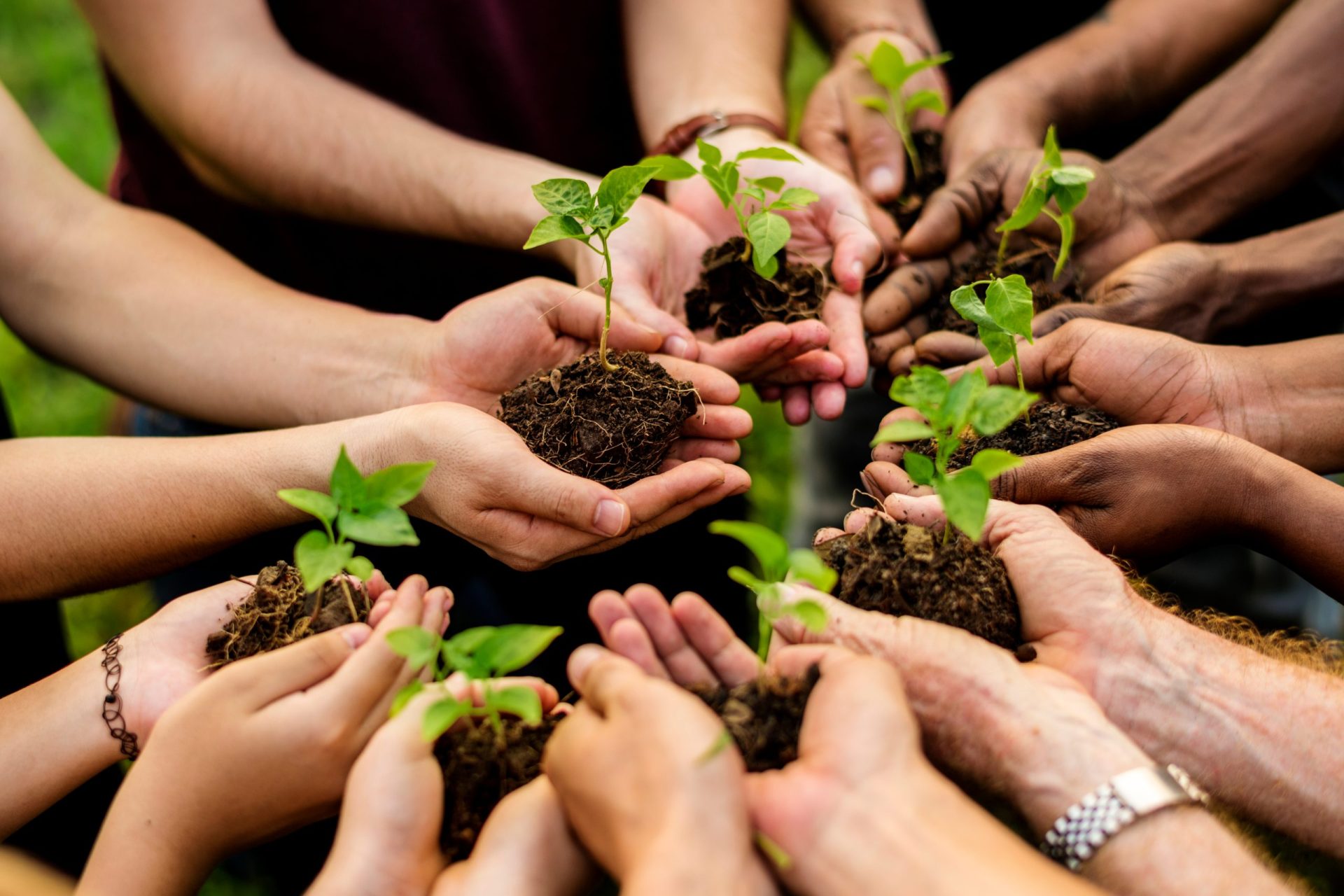 c4adee34e08719dea3b6c9c5b8b5d4727dac23e6 c4adee34e08719dea3b6c9c5b8b5d4727dac23e6